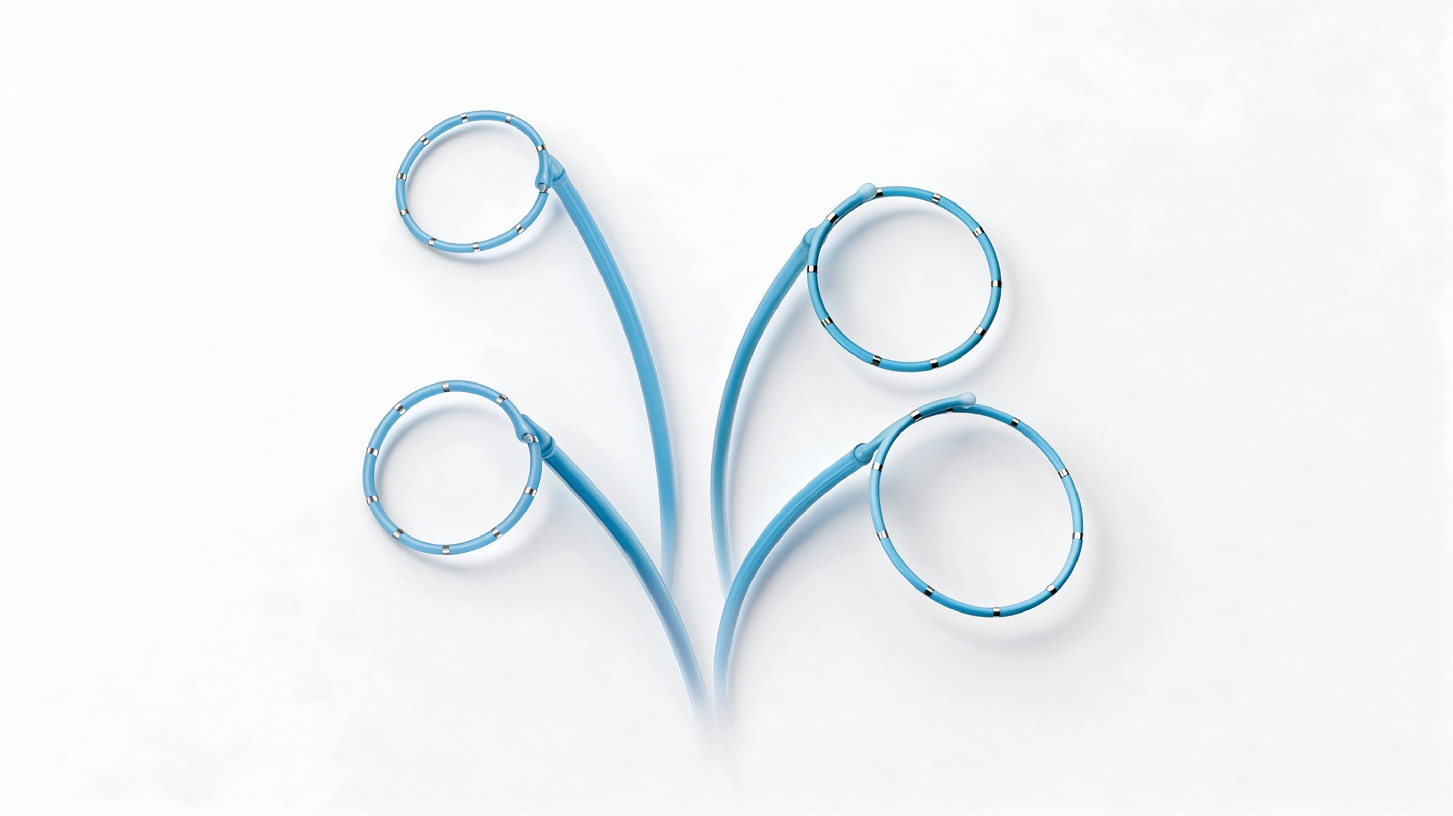 EasyLoop™ 3D Circular Mapping Catheter